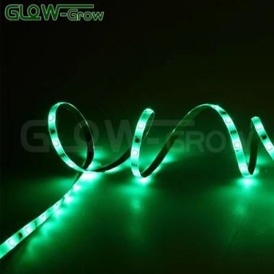 5050 30LEDs/M 24V UL Listed LED Music Sync RGB Strip Light for Room Decoration