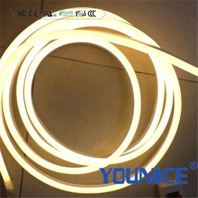 2835 SMD Neon LED Light Strip Flexible CE RoHS UL