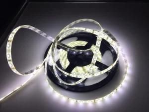 SMD 2835 LED Strip 12V Light