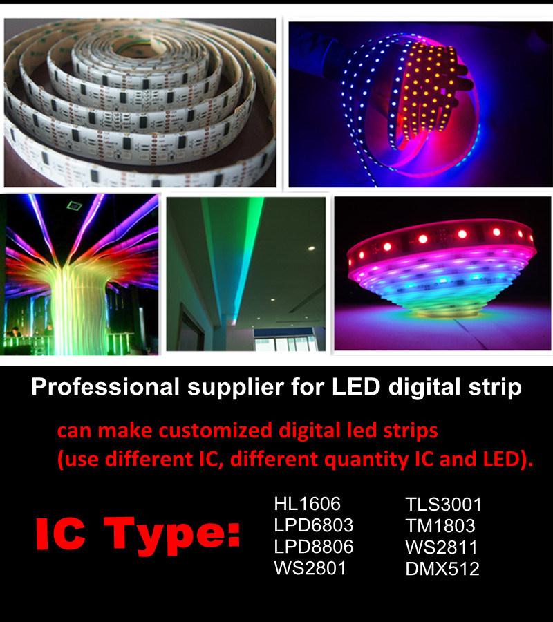 DMX512 Digital Smart LED Strip Light for Decorative Lighting