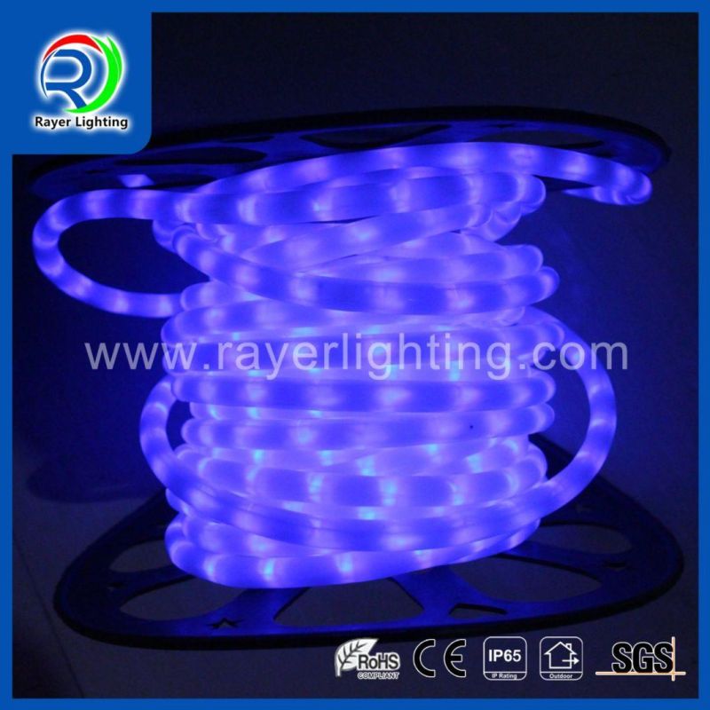 Outdoor Decoration Colorful Lights Festical Light LED Rope Lights