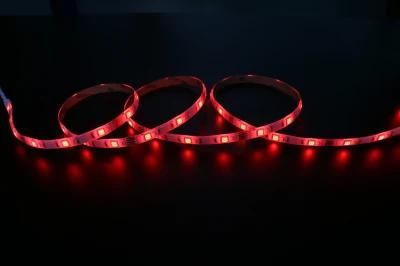 Epistar Chip RGB+W SMD5050 60LEDs/M Lighting Flexible RGB +W LED Light Strip
