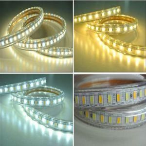 Ww+W 2color Ceiling LED Rope Lighting Waterproof LED Strip Light