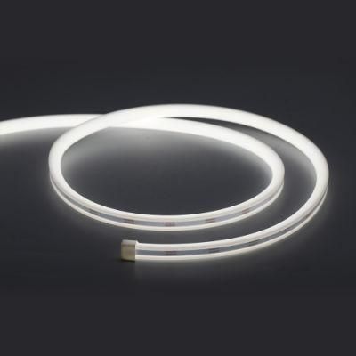 Wholesale Outdoor IP65 IP68 Flexible SMD 2835 RGB with Remoter Waterproof Neon Flex LED Strip Light