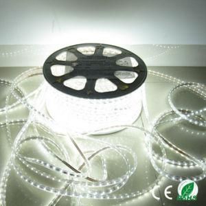 China LED Multi Color Flexible Waterproof Strip Light for Decaration