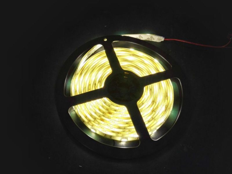 12V/24V SMD5050 30LEDs/M IP68 Waterproof White Color LED Strip Light for Bar Decorate