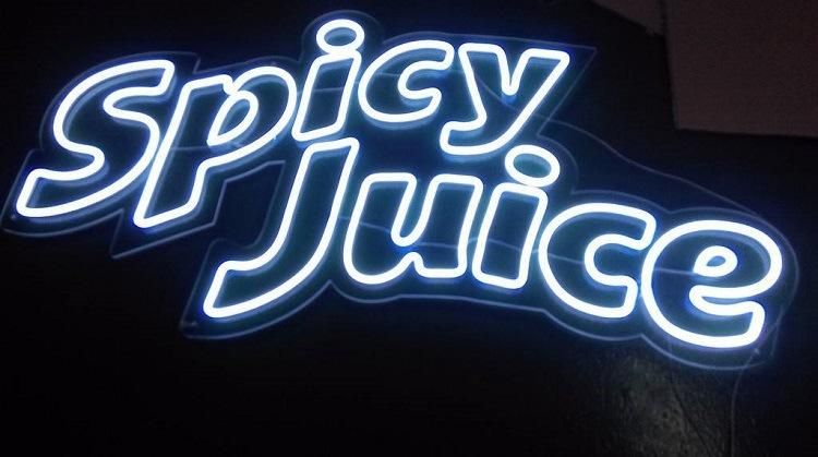 SMD2835 5m/Roll LED Lighting Neon Sign Decorative Neon Flex