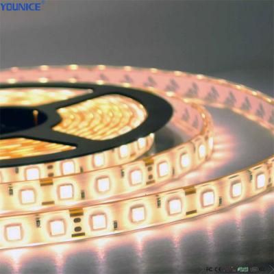 60LEDs/M DC12V 10mm Width 12W/M LED Flexible Strip