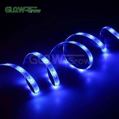 IP44 5050 RGB CCT LED Strip Light with ETL Listed