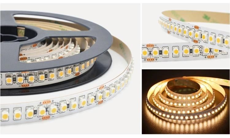 High Quality LED Light Strip SMD3528 60LED Flexible LED Llight IP20 Single Color for Decoration Lighting