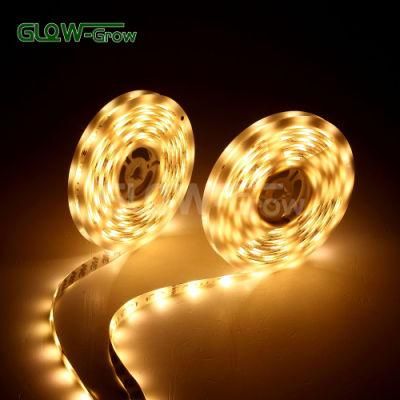 Project Use Flexible RGB Car LED Strip for House Home Party Wedding Decoration