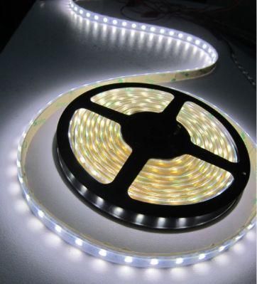 High Brightness 160LED 60LEDs/120LEDs/240LED/224LED 3024lm/M 150lm/W 2835 LED Strip Light with 5 Years Warranty