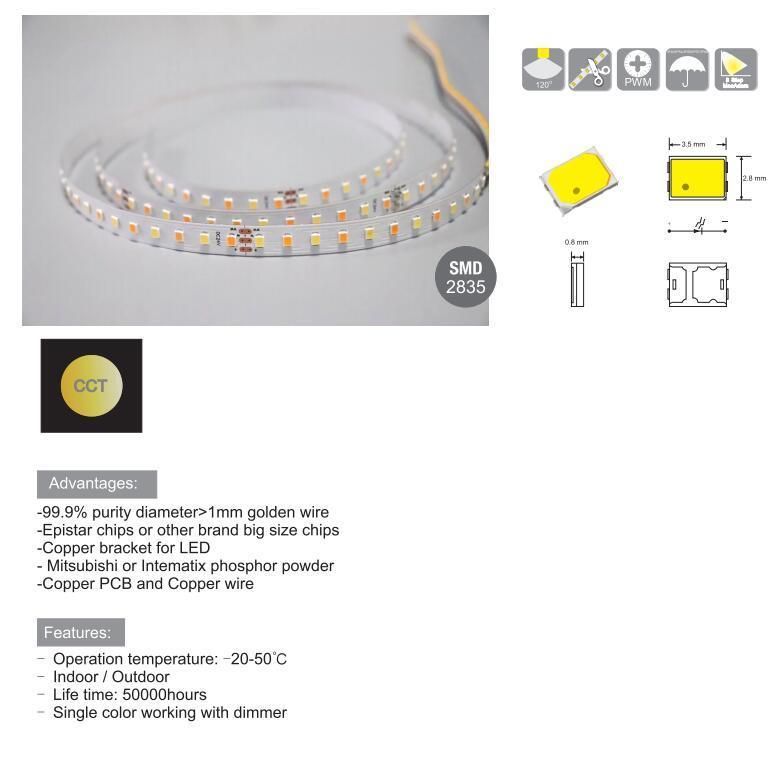 5 Years Warranty SMD 2835 Double Color CCT Dimming 24V Waterproof Flexible LED Strip Light