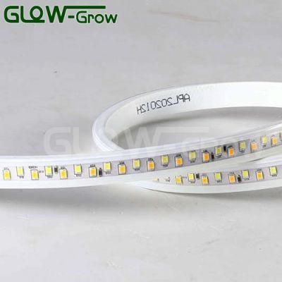CE Approval 15.5*7mm 120V 50m LED 2835 SMD Strip Light for Outdoor Decoration