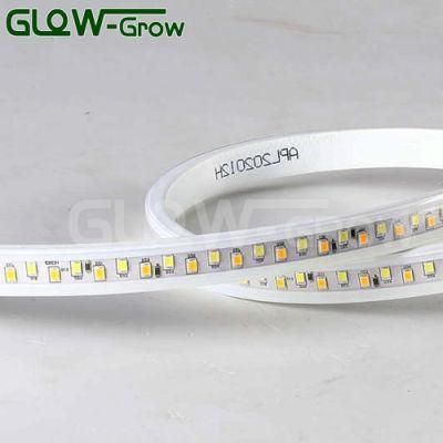 CE Approval 15.5*7mm 120V 50m LED 2835 SMD Strip Light for Outdoor Decoration