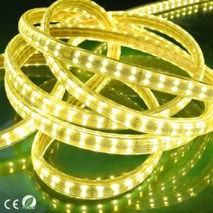 High Brightness 220V 110V SMD5050 144LED Double Row LED Strip