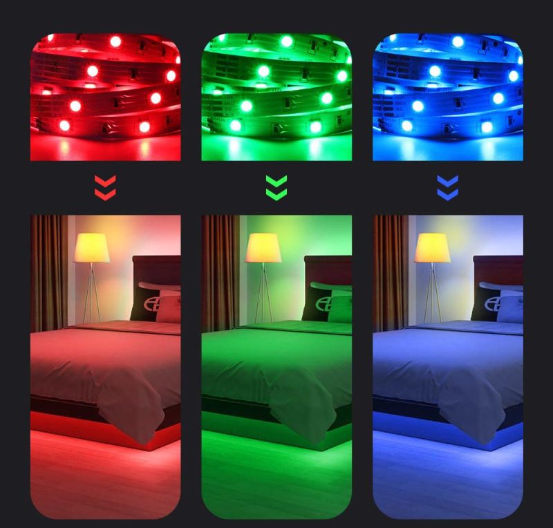Wholesale Outdoor IP20 IP65 Flexible Color Changing Full Kit 12V 5m 5050 150LEDs RGB LED Strip Light with Remoter 24key Waterproof Neon Flex Luces LED Strip
