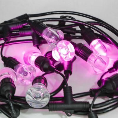 LED String Light with UL, cUL Approval with Extension Cord