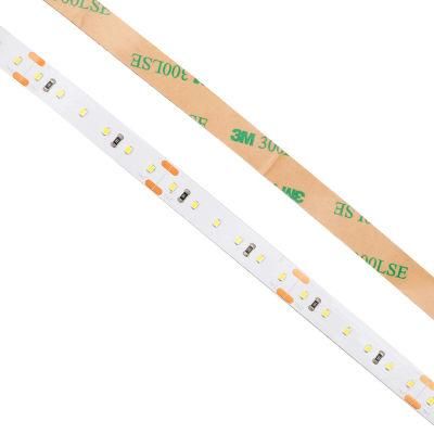 CRI90 Flexible LED 2216 LED Strip 5000K 24V Super Hot Sell Decoration Lighting