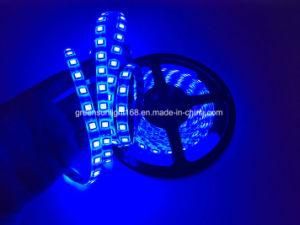 SMD 5050 LED Strip with Adhesive Backing