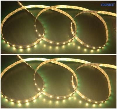 DC24V 8mm SMD2835 LED Ribbon Light Flexible Strip