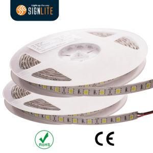 Factory 300LEDs/ 60LED/M Warm White SMD5050 LED Strip Light