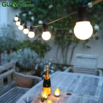 Holiday Use IP65 G45 LED Bulb String Light Festoon Light for Christmas Decoration