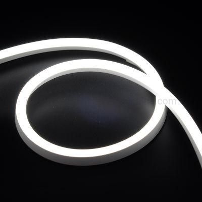 3years Warranty Neon Strip 60LED DC24 Single Color Strip for Lighting Decoration