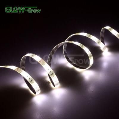 Flexible 12V LED Strip for Bar Decoration