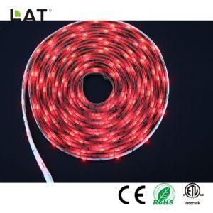 High Brightness DC12/24V 1m SMD5050 RGB 30/60/120LEDs Ce ETL UL Flexible LED Strip/Tape