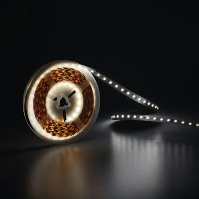 5years Warranty DC24V 10mm PCB High Brightness Flexible LED Light Strip
