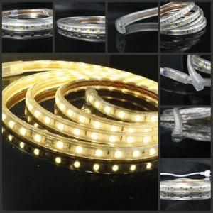 W/Ww Dimmable 5630SMD LED Strip Super Brightness for Building Decoration