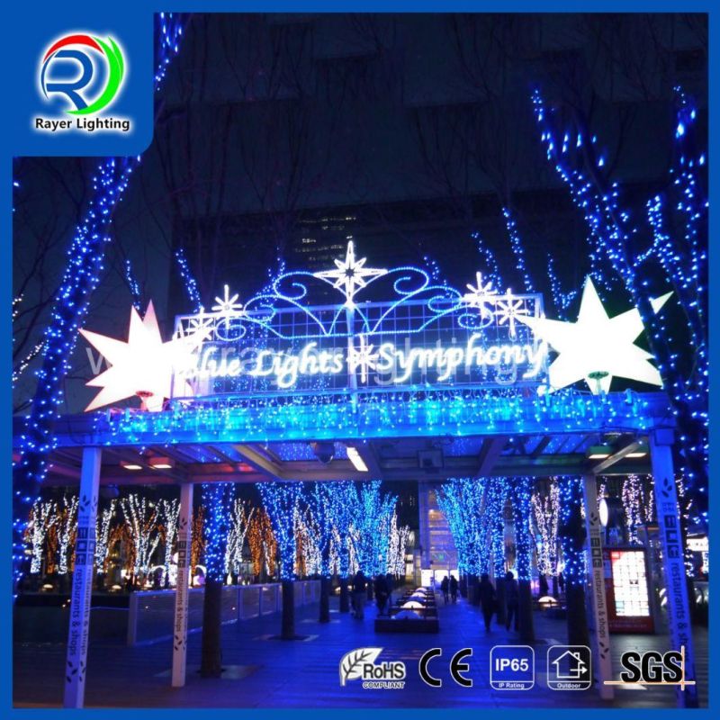 Detachable LED Christmas Lighting Decorations Stree Lights