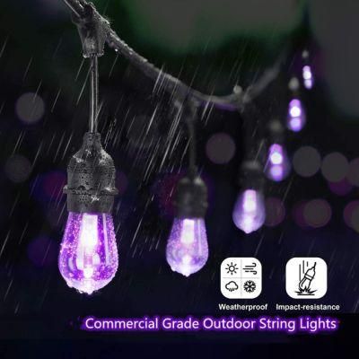 Waterproof Outdoor Garden 12V 10W LED String Garden Light