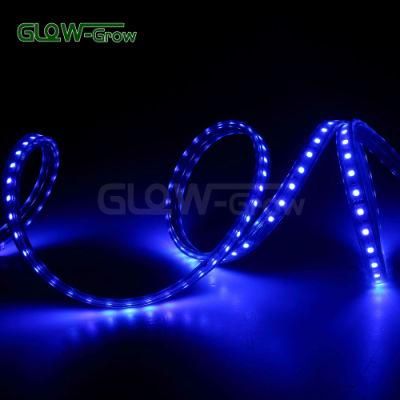 Bar Use 230V LED RGB Sync 5050 Strip Light with 7 Colors Change