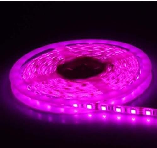 5050/3528 60LEDs/M 660nm Pink Color LED Strip Light