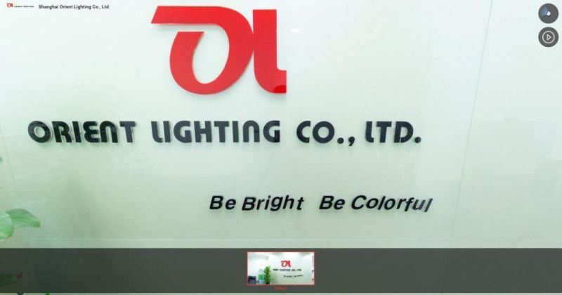 UL CE 1615 Wateproof IP67 Lighting RGB RGBW LED Neon