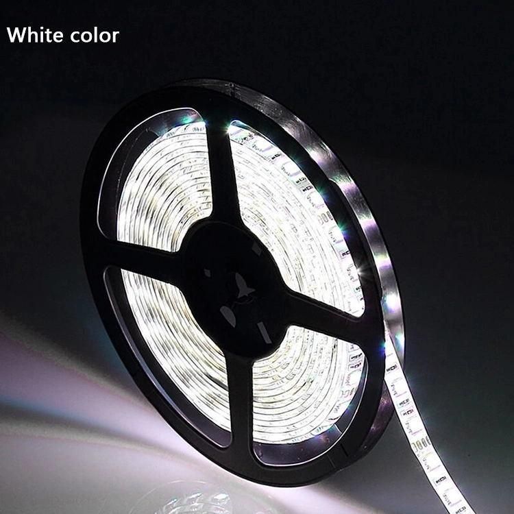 Low Voltage 60/120 LEDs RGB LED Decoration Flexible Strip Light