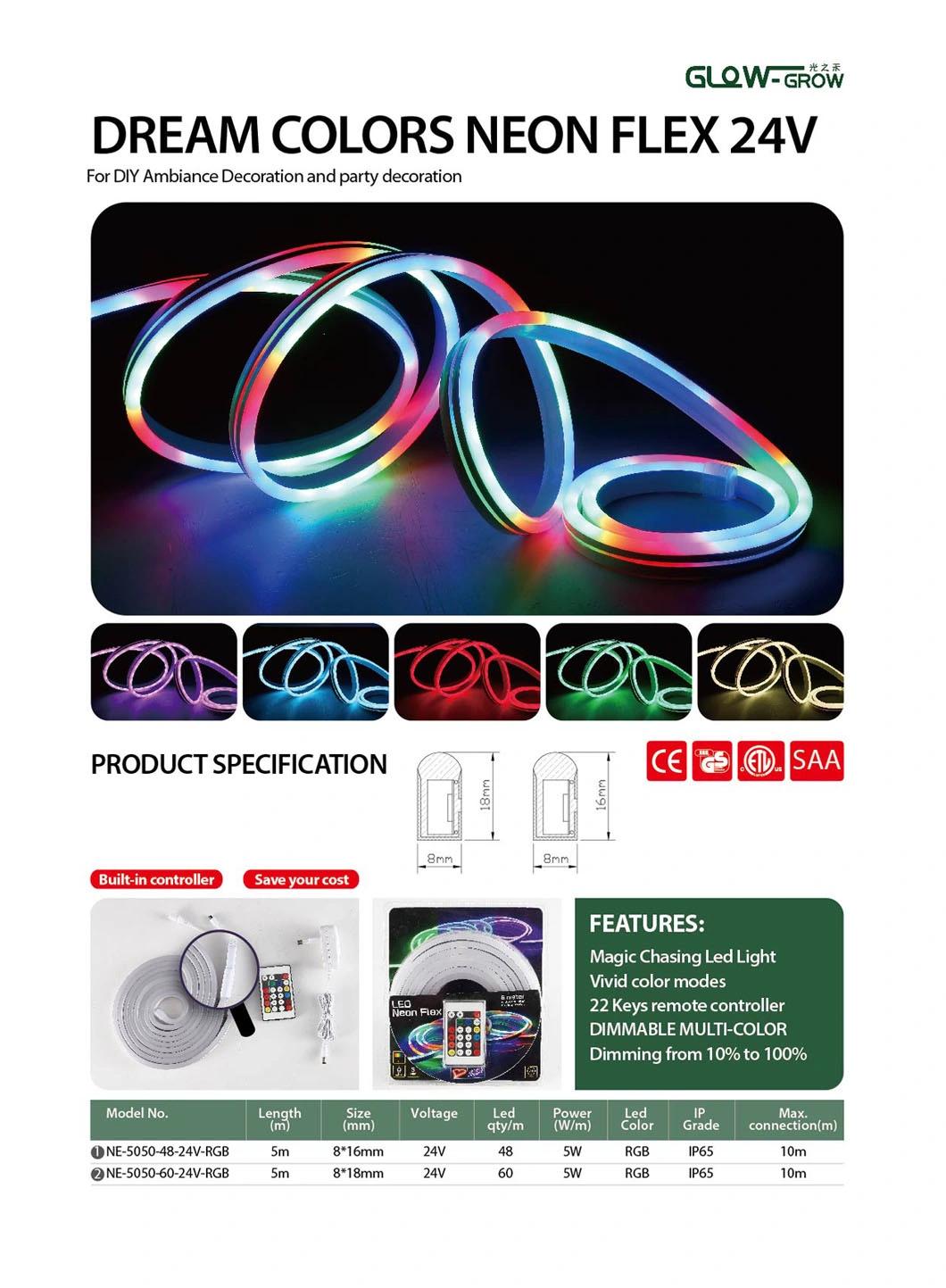 24V IP65 Color Chasing LED Dream Neon Flex Light for Christmas Decorations