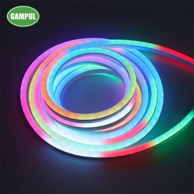 China Manufacturer LED Neon Christmas Decoration LED Strip Neon Light