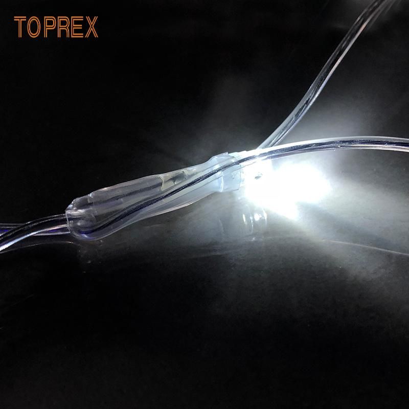 Toprex Rgyb Colorful Waterproof High Brightness Tree LED Net Light Warm White with CE