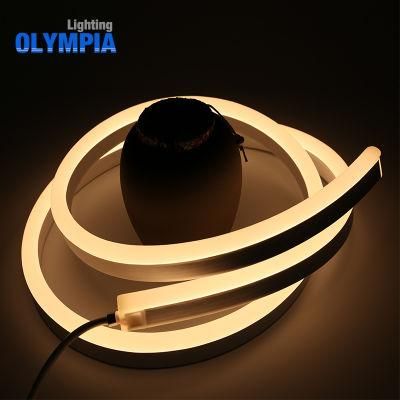 IP68 Waterproof Ledled Strip Light for Indoor and Outdoor Decoration