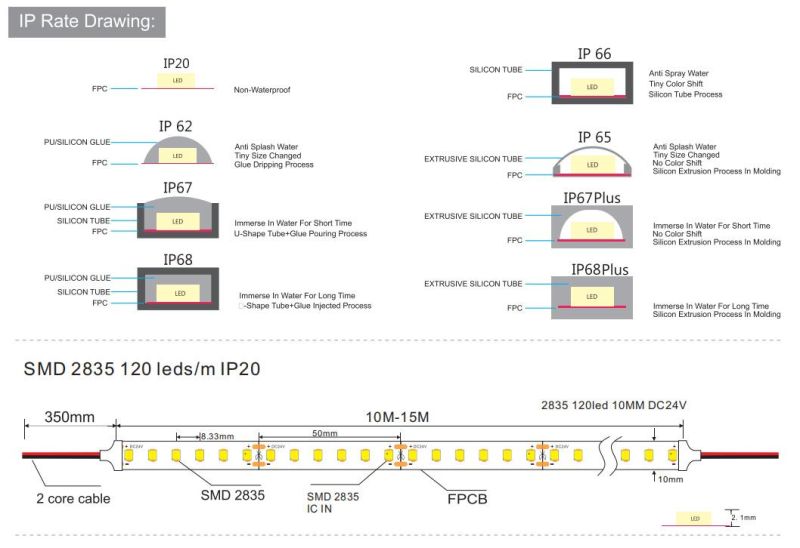 SMD2835 120 LEDs/M IC-Built-in LED Light Strip for Decorative LED Lighting