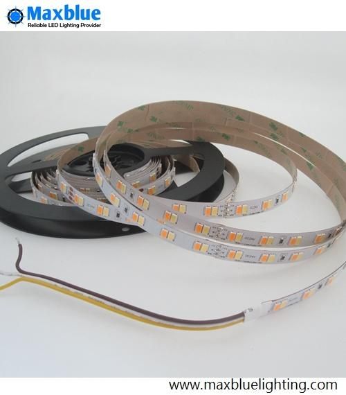 CCT Adjustable Tunable 112LEDs/M Dual White 5630SMD LED Strip Light