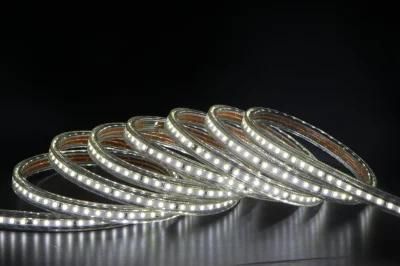 LED Strip Light LED Rope Light LED Ribbon SMD 2835 600LEDs 5 Meter Kit 16.4FT Length with Power Supply Ce Certified Waterproof