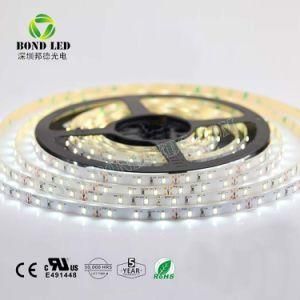 New Arrival 12V Indoor Outdoor 60LEDs/M 12W 2835 LED Strip with Ce RoHS