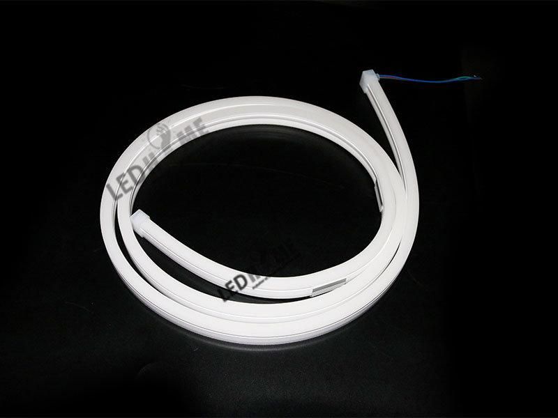IP68 Waterproof LED Neon Flex Tube (red/green/blue/white)