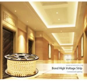 220V SMD 5050 RGB 60LED Flexible LED Light Strip for Living