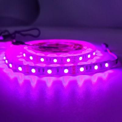 IP65 Smart WiFi 5m 5050 SMD Flexible RGB LED Strips Light for Home Use