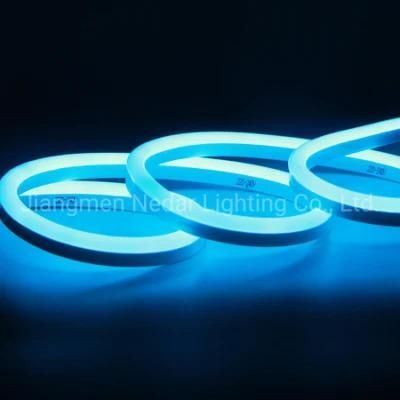 Christmas Light Home Decorate 220V/230V 10*20mm LED Flex Neon Blue Color with Ce/RoHS/IP65